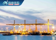 Promotor de carga internacional de la entrega de FCL de China a Haifong Asia sudoriental
