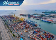 Envío de la carga de mar internacional de FCL y de LCL de China a Omán