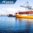 Servicios profesionales internacionales del promotor de carga de la importación de la exportación LCL FCL