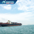China al promotor de carga del envío del mar de Australia el Amazonas Dropship a Europa