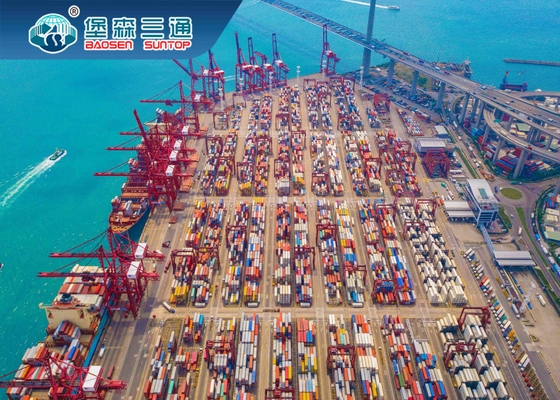 Internationl Sea Shipping Company, carga de mar de la mejor tarifa LCL China